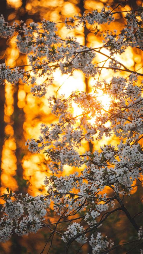 Kostenlose Hintergrundbilder Herbst Atmosphäre Menschen in Der Natur