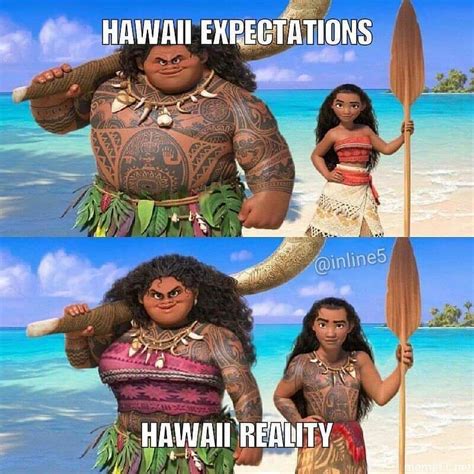 The best Hawaiian memes :) Memedroid