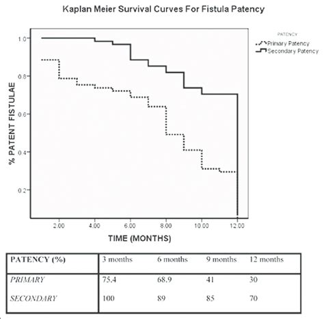 Kaplanmeier Curves Showing Primary And Secondary Patency N 61