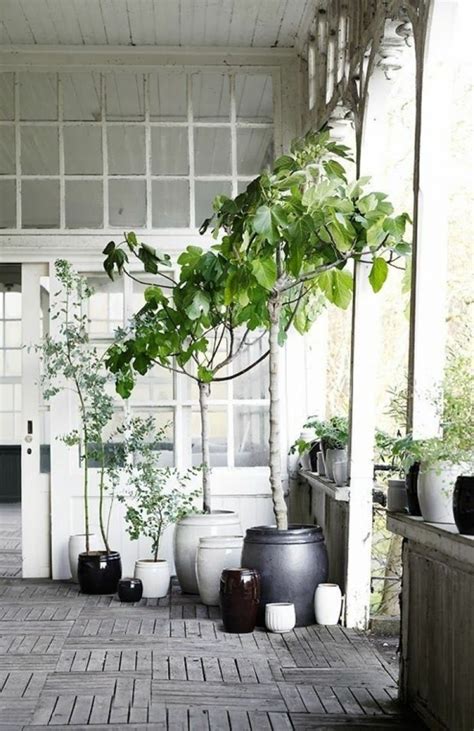 30 Stylish Indoor Plant Displays And Ideas Indoor Plants Home And