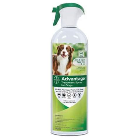 Advantage Dog Flea Treatment Spray, Kills Fleas & Ticks, Dog Flea Spray ...