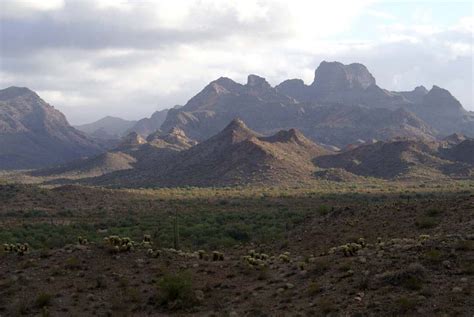 Organ Pipe Cactus National Monument Twin Peaks Campground Opens For