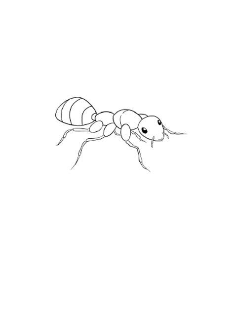 Ant - Coloring Page | PDF