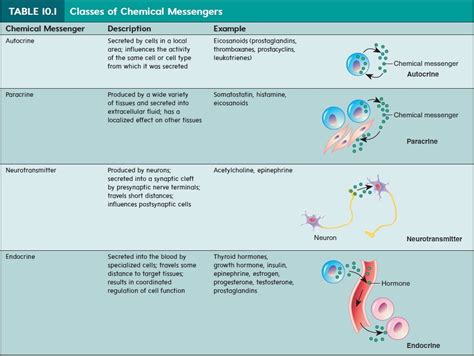 Principles Of Chemical Communication