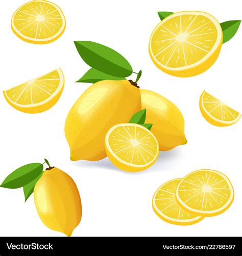 Collection Of Lemon Icons Fruits Isolated On White