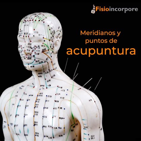 Acupuntura clínica e integrativa Fisioincorpore fisioterapia