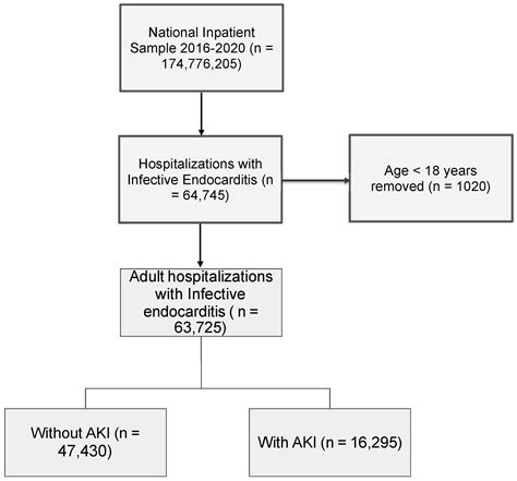 Jcm Free Full Text Outcomes Of Acute Kidney Injury Among