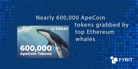 Nearly 600000 Apecoin Tokens Grabbed By Top Ethereum Whales Fybit Blog