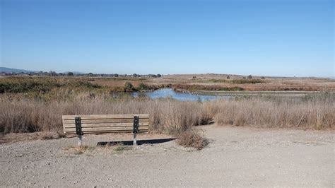 Palo Alto Baylands Winter Charleston Slough And Adobe Creek — Santa