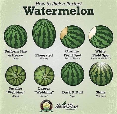 How To Pick The Perfect Watermelon Homes Of Shalom