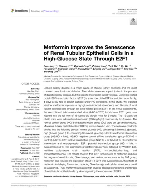 PDF Metformin Improves The Senescence Of Renal Tubular Epithelial