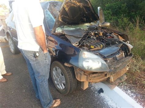 G1 Carro Bate Em Cavalo E Motorista Morre Em Rodovia No Tocantins