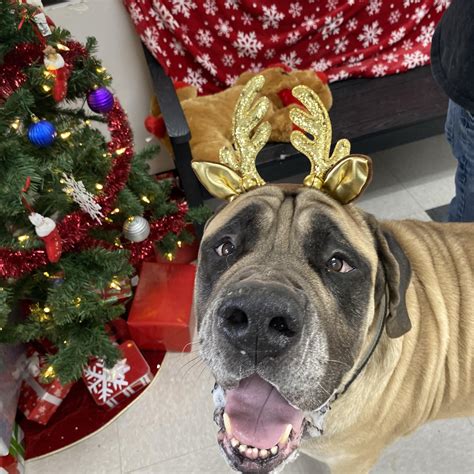 A phoebe nursing home resident has a secret to reaching 100 1