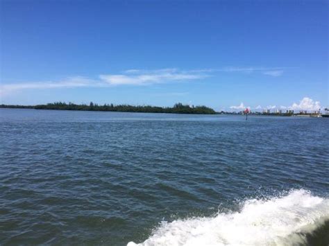 Indian River Lagoon And Swampland Boat Tours Fort Pierce 2019 All