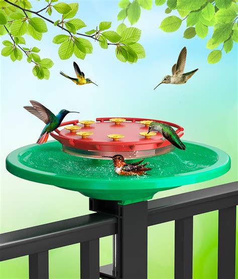 Ideology Humm Yumm Hanging Hummingbird Feeder With A