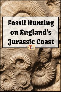 First Time Fossil Hunting on the Jurassic Coast - Two Traveling Texans