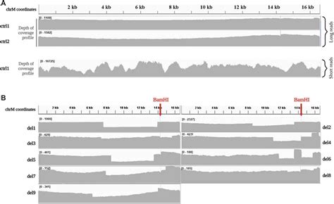 Frontiers Nanopore Long Read Next Generation Sequencing For Detection