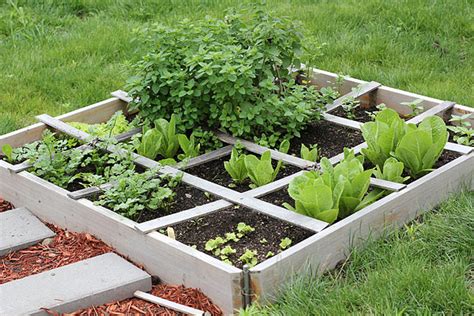 Bunny Gardening for Beginners