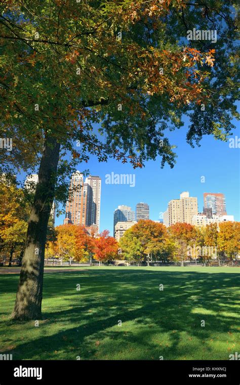 Manhattan Midtown Skyline Viewed From Central Park In Autumn In New