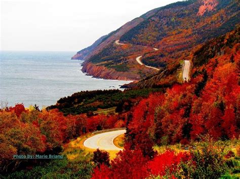 Cabot Trail Foliage Cape Breton Highlands National Park Nova Scotia