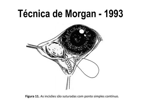 Prolapso de Terceira Pálpebra Tecnica Cirurgica PPT