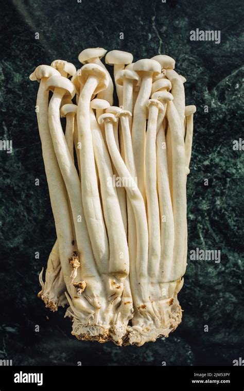 A Bunch Of White Enoki Seafood Mushrooms Grown In China A Popular