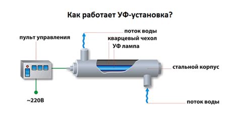 Ультрафиолетовые обеззараживатели воды. Описание и правила выбора УФ ...