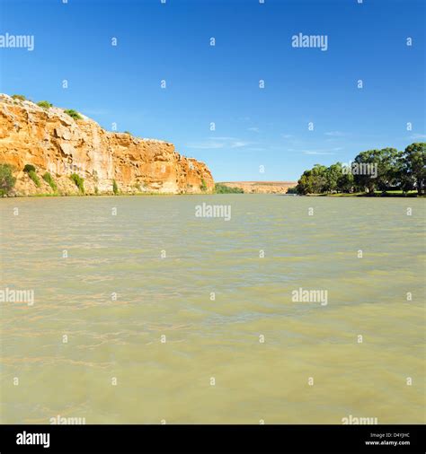 The Mighty Murray River Passing Through High Cliffs In South Australia