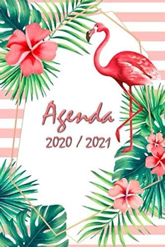 Amazon In Buy Agenda Scolaire 2020 2021 Agenda Etudiant Agenda