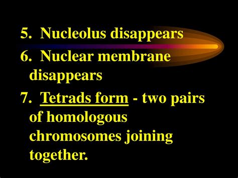 Ppt Meiosis The Formation Of Sex Cells Powerpoint Presentation Free