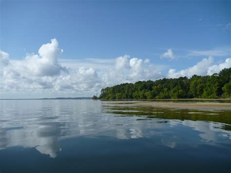 Nature's heart: Lake Livingston, I presume?