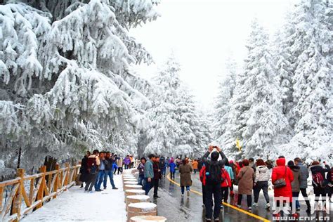 雪淞惊艳游客 新疆天山天池初冬雪后宛如仙境央广网