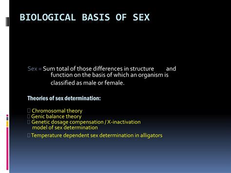 Ppt Biological Basis Of Sex Powerpoint Presentation Free Download