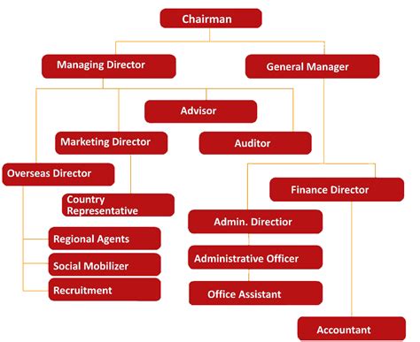 Organization Chart Sbo Nepal