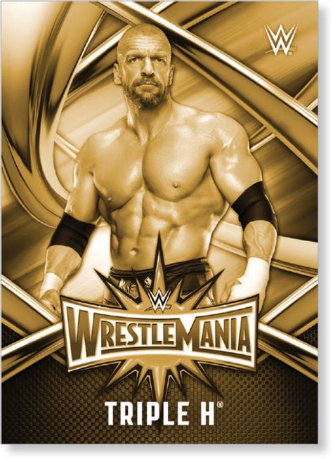 Download Triple H Wwe Wrestlemania 33 Full Size Png Image Pngkit