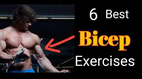 6 Best Bicep Exercises For Bigger Arms Best Bicep Workout At Gym