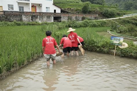 走进田间地头“自找苦吃”，给这群重理工青年点赞！ 国内新闻 华龙网