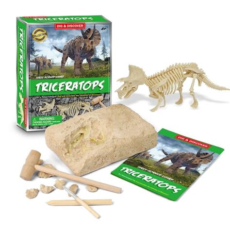 Kid Dino Kit Fssil De Dinossauro De Escava O Jogo Kit Crian As Dino