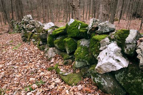 New England Stone Walls Historic Northampton