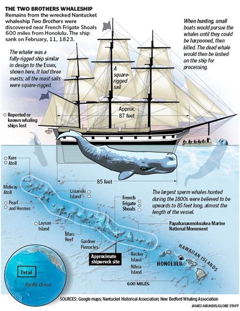 The Two Brothers Whaling Ship Graphic Documents The Recent Discovery Of