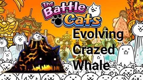 Evolving My Crazed Whale The Battle Cats YouTube