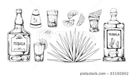 Hand Drawn Tequila Agave Alcohol Drink With Stock Illustration