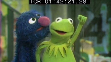 Sesame Street Grover And Kermit The Frog