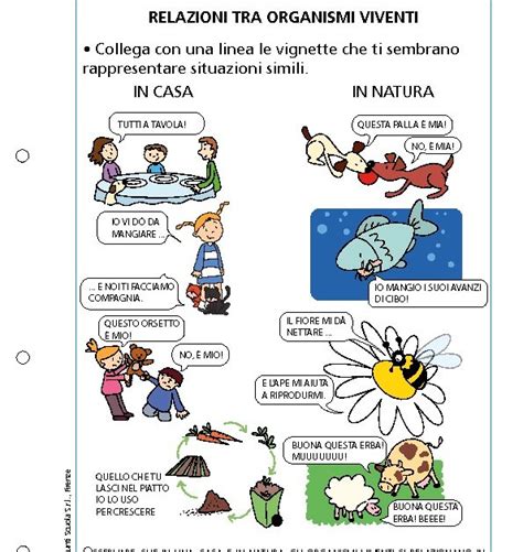 Relazioni Tra Organismi Viventi Giunti Scuola