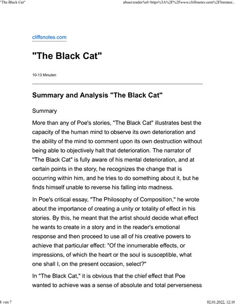Summary For The Black Cat 14