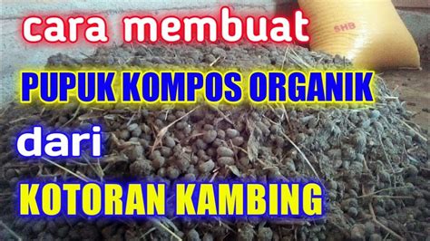 Cara Buat Pupuk Organik Sinautani