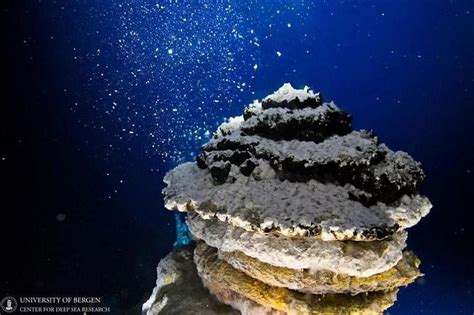 The significance of deep sea exploration | The Straits Times