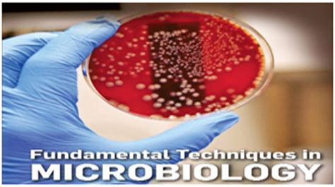 Microbiology Laboratory Techniques – GXPZONE PHARMA ACADEMY