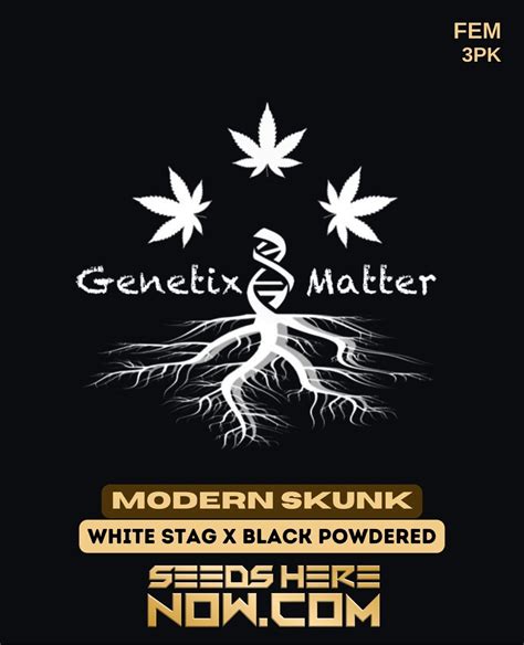 Order Modern Skunk Feminized Seeds Top Shelf Genetics