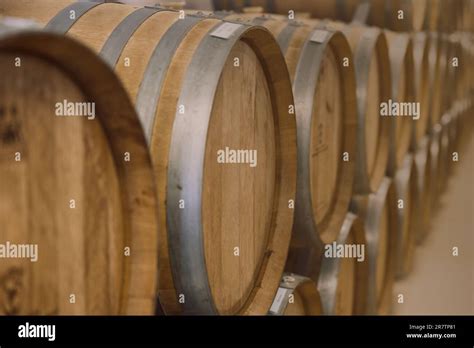 Barricas De Fermentaci N De Vino En Bodega Tradicional Proceso De